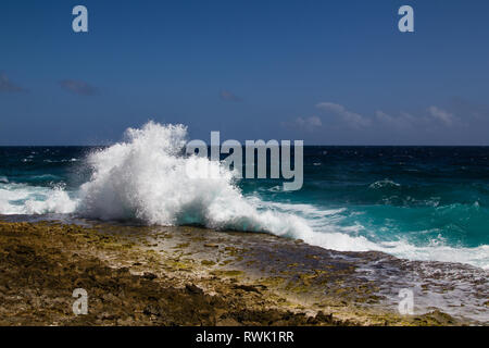 Wild and high waves breaking at the rough shoreline of the west coast of the island of Bonaire Stock Photo
