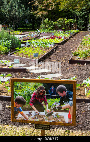 Picture of a mother and two sons working in the kitchen garden of the White House; Washington DC, United States of America Stock Photo