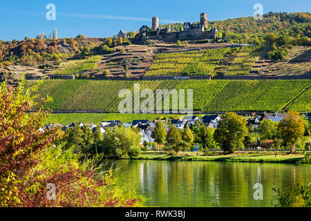 Old stone castle on top of river valley with rows of vineyards along steep slopes and village on the river bank with blue sky; Alken, Germany Stock Photo
