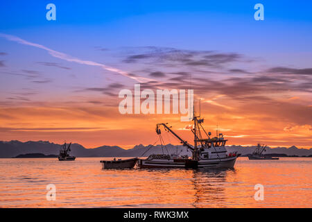 Seiners anchored in Amalga Harbor at sunset awaiting a commercial salmon opening; Juneau, Alaska, United States of America Stock Photo