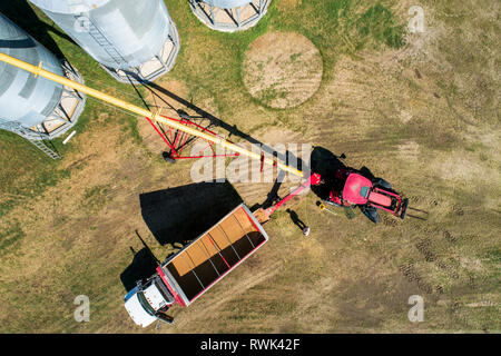 Aerial view looking straight down on a truck full of grain filling augers to large metal grain bins; Acme, Alberta, Canada Stock Photo