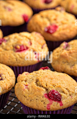 Freshly baked cranberry muffins cooling on a rack Stock Photo