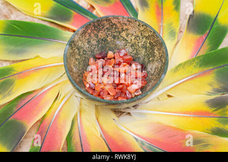 Moss Agate hand carved polished bowl from Morocco with tumbled Carnelian chips from Brazil in the middle of a circle made of colorful parrot feathers. Stock Photo