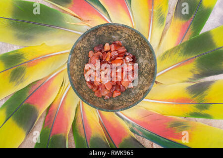 Moss Agate hand carved polished bowl from Morocco with tumbled Carnelian chips from Brazil in the middle of a circle made of colorful parrot feathers. Stock Photo