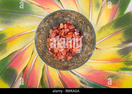 Moss Agate hand carved polished bowl from Morocco with tumbled Carnelian chips from Brazil in the middle of a circle made of colorful parrot feathers. Stock Photo