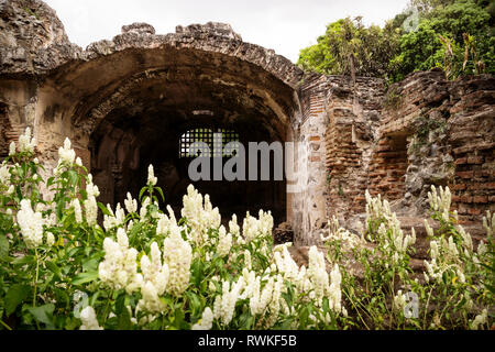 Ruins in Hermano Pedro with green garden, Antigua, Guatemala Stock Photo