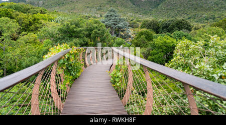 Kirstenbosch National Botanical Garden is acclaimed as one of the great botanic gardens of the world. Cape Town, South Africa Stock Photo