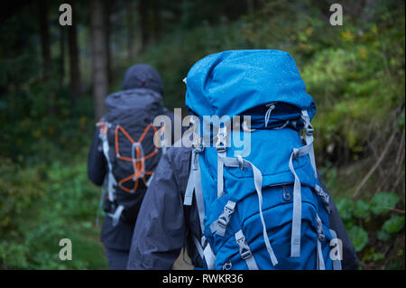 Young hiking couple hiking through forest with backpacks, rear view, Manigod, Rhone-Alpes, France Stock Photo