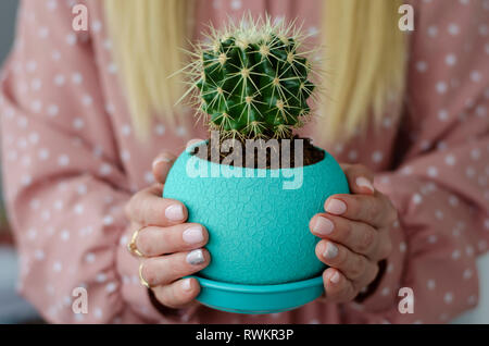 Female hands with pastel manicure holding a cactus in a turquoise flower pot. Copy space. Blurred background. Stock Photo