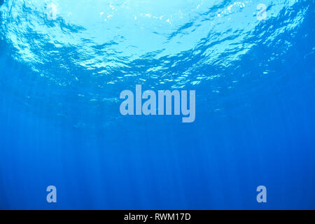 The blue ocean from underwater Stock Photo