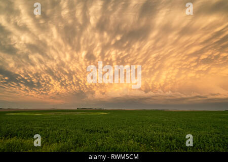 Dramatic skies over the landscape seen during a storm chasing tour in the midwest of the United States; Kansas, United States of America Stock Photo