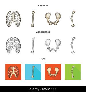 rib,hip,fracture,cage,broken,joint,pain,xray,fibula,pelvis,bias,body,shin,surgery,injury,spine,tibia,healthy,connective,sternum,femur,musculoskeletal,breastbone,leg,calcium,fiber,joints,scientific,muscle,medicine,clinic,biology,medical,bone,skeleton,anatomy,human,organs,set,vector,icon,illustration,isolated,collection,design,element,graphic,sign Vector Vectors , Stock Vector