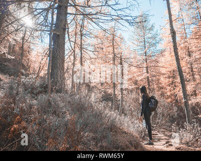 Woman exploring forest, Antronapiana, Piemonte, Italy Stock Photo