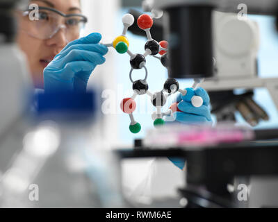 Scientist designing drug formula using ball and stick molecular model in laboratory Stock Photo