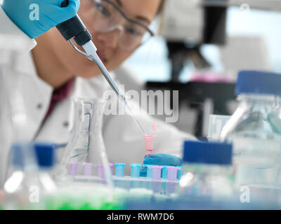 Scientist pipetting sample into vial during genetic experiment in laboratory Stock Photo