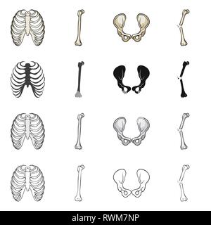 rib,hip,fracture,cage,broken,joint,pain,xray,fibula,pelvis,bias,body,shin,surgery,injury,spine,tibia,healthy,connective,sternum,femur,musculoskeletal,breastbone,leg,calcium,fiber,joints,scientific,muscle,medicine,clinic,biology,medical,bone,skeleton,anatomy,human,organs,set,vector,icon,illustration,isolated,collection,design,element,graphic,sign Vector Vectors , Stock Vector