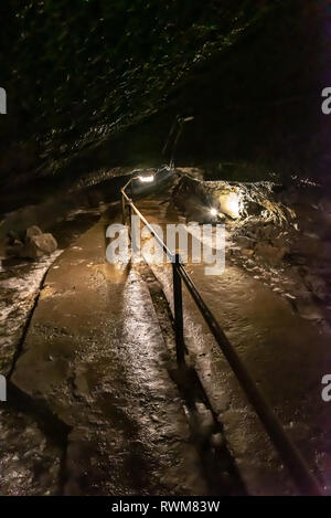 Wind Cave & Ice Cave in Fugaku Japan. The Fuji Fugaku Wind Cave is surrounded by the abundant greenery of the Aokigahara Jukai forest. Once you enter Stock Photo