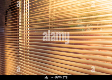 morning sunlight at sunrise shining through the slats of horizontal venetian blinds. Stock Photo