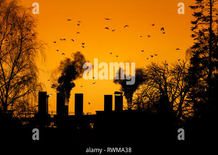 Birds flying over the dark smoke comming from the chimneys of an old factory. Stock Photo