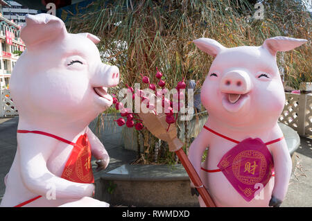 Large model pigs, Chinatown, Singapore, during the Chinese New Year 2019 Stock Photo