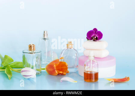 Beauty arrangement on blue background Stock Photo