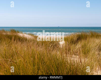 View over dune with grass and the beach on the North Sea near Domburg on the island Walcheren, Zeeland, Netherlands Stock Photo