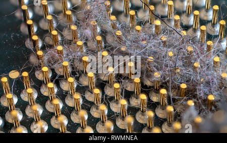 The micro elements of computer central processor unit, CPU contact pins close up. Stock Photo