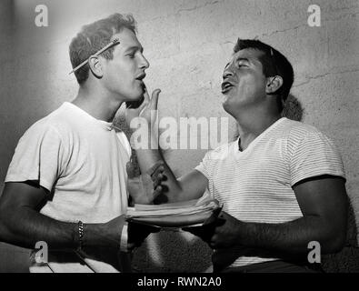 Paul Newman and boxing champion Rocky Graziano. Newman played Graziano in the film 'Somebody Up There Likes Me' (1956) MGM  File Reference # 33751 537THA Stock Photo