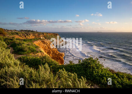 Beautiful grass blowing in the wind atop the tall bluffs of Point Vicente with waves crashing into the rocky shore below, Rancho Palos Verdes, Califor Stock Photo