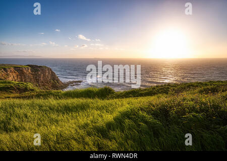 Beautiful grass blowing in the wind atop the tall bluffs of Point Vicente with waves crashing into the rocky shore below, Rancho Palos Verdes, Califor Stock Photo