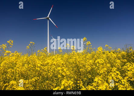 Wind turbines. Fields with windmills. Rapeseed field in bloom. Renewable energy. Protect the environment. Dobrogea, Romania Stock Photo