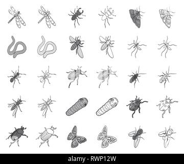 Different kinds of insects monochrome,outline icons in set collection for design. Insect arthropod vector isometric symbol stock  illustration. Stock Vector