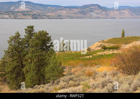 Naramata bench, Okangan Valley, British Columbia, Canada Stock Photo