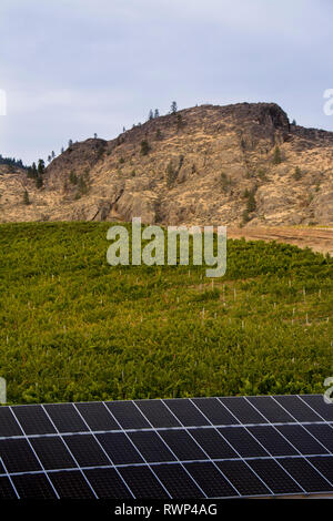 Solar Panels, Burrowing Owl Estate Winery,  Oliver, Okanagan Valley, British Columbia, Canada Stock Photo