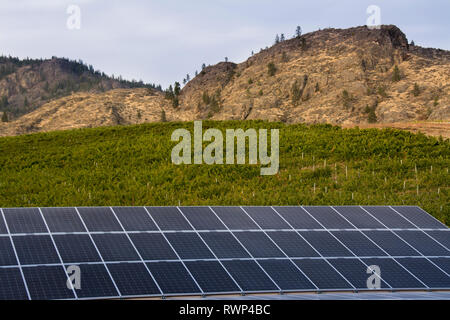Solar Panels Burrowing Owl Estate Winery Oliver Okanagan Valley British Columbia Canada Stock Photo Alamy