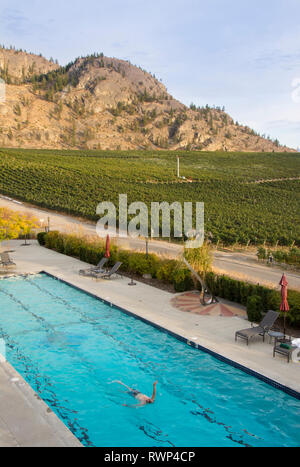 Burrowing Owl Estate Winery swimming pool Oliver Okanagan Valley British Columbia Canada Stock Photo Alamy