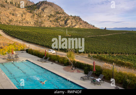 Burrowing Owl Estate Winery, swimming pool,  Oliver, Okanagan Valley, British Columbia, Canada Stock Photo