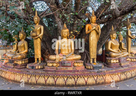 Buddha statues Wat Pha That Luang Vientiane Laos Stock Photo