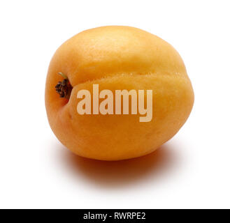 Single fresh apricot isolated on white background Stock Photo