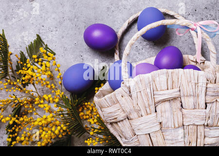 Easter eggs decorated in different colors with a branch of mimosa on the table, top view Stock Photo