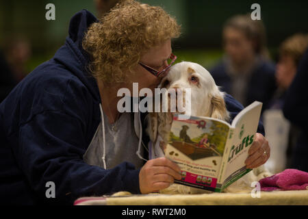 A Spinone Italiano sits with its owner at the Birmingham National Exhibition Centre (NEC) on the first day of the Crufts Dog Show 2019. Stock Photo