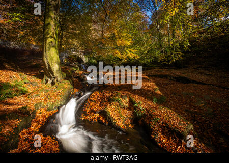 The Shankhill river runs through Cloghleagh Glen, Co. Wicklow, Ireland Stock Photo