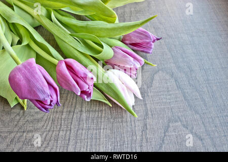 A bouquet of lilac and white tulips with fresh green leaves against a dark wood background. Copy space for text. Stock Photo