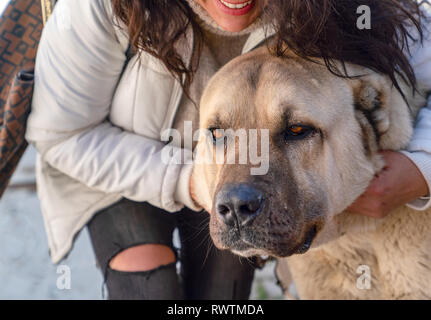 A Turkish girl hugs an Anatolian shepherd dog (sivas kangal) Stock Photo