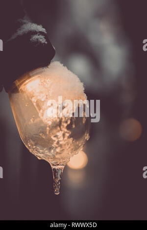 Color image of a frozen lit light bulb. Stock Photo