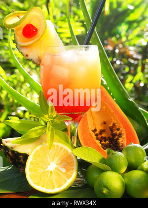 Tequila Sunrise Cocktail on tropical Background Stock Photo