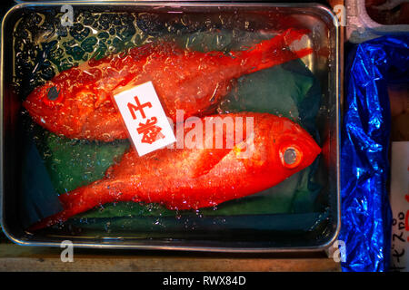 Tsukiji fish market, Tokyo, Japan, Asia, the largest wholesale seafood market in the world. View of shops, stalls, people Stock Photo