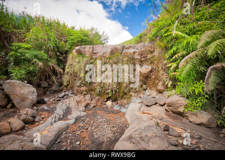 Mount Lokon, together with Mount Empung, is a twin volcano in the northern Sulawesi, Indonesia, roughly 10 km south of Manado. Stock Photo