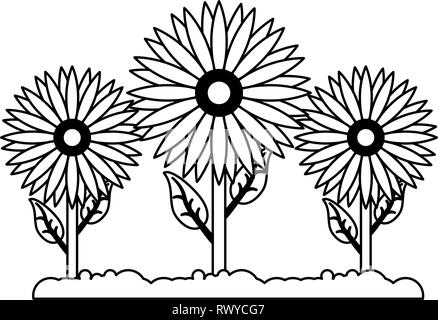 sunflowers gardening cartoon isolated in black and white Stock Vector