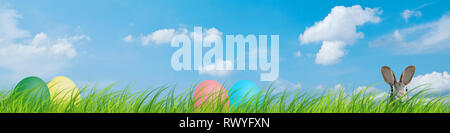 Hidden easter rabbit and easter eggs in a meadow with blue sky. Stock Photo